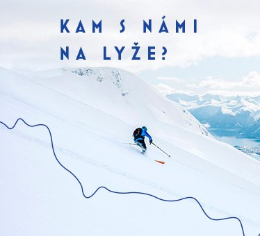Lyžování
