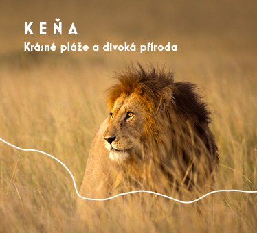 Keňa