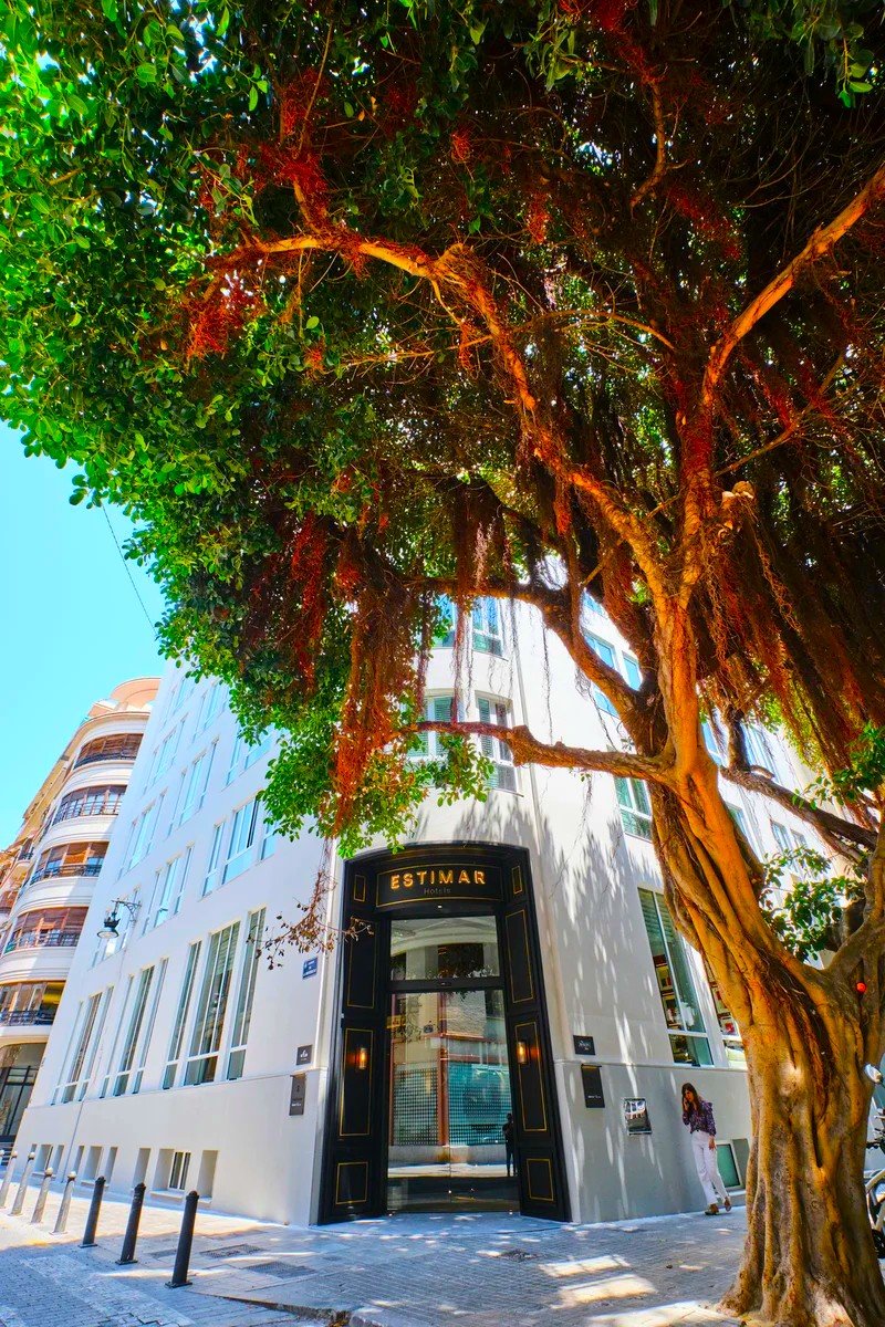 Hotel Estimar Valencia