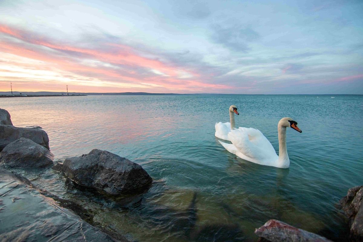 Balatonalmádi