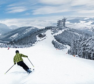 Česká republika