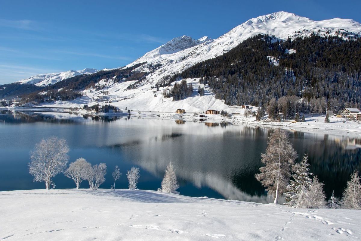 Davos