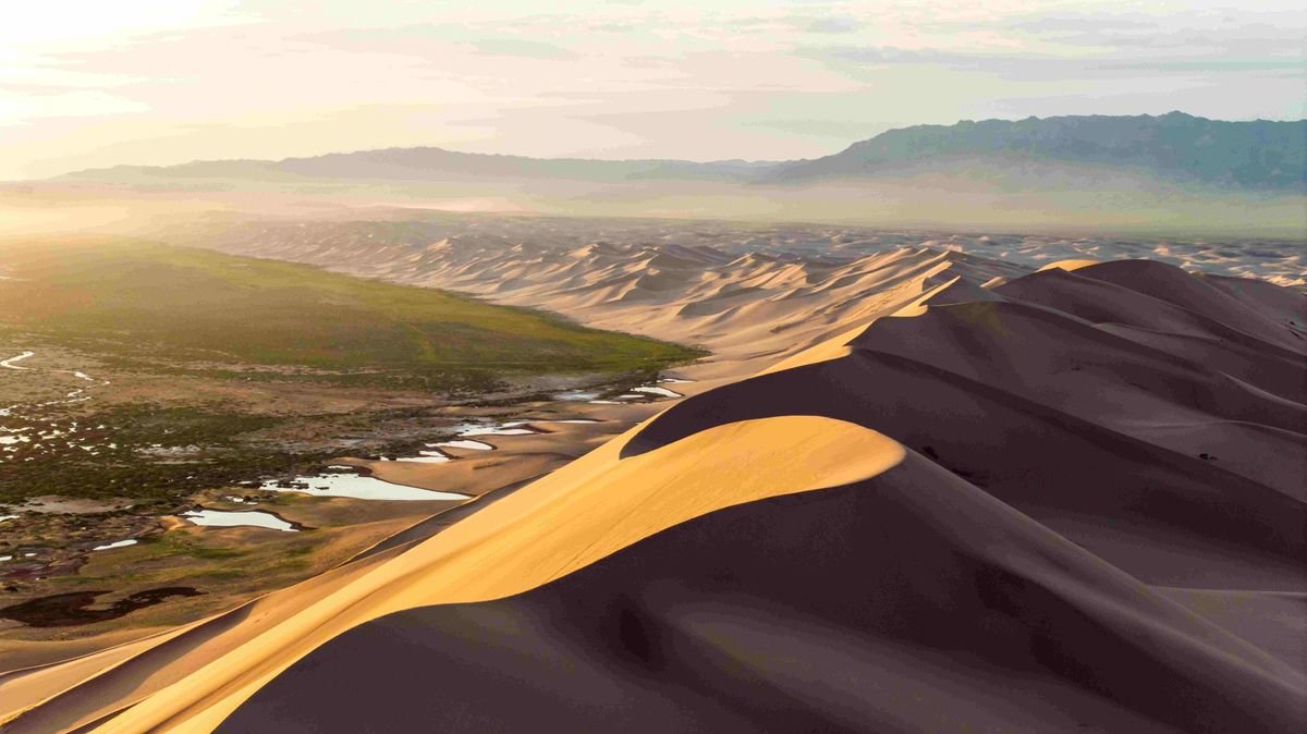 Gobi