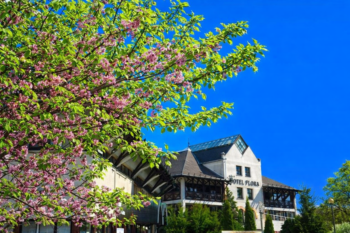 Mini roadtrip Eger - město vína