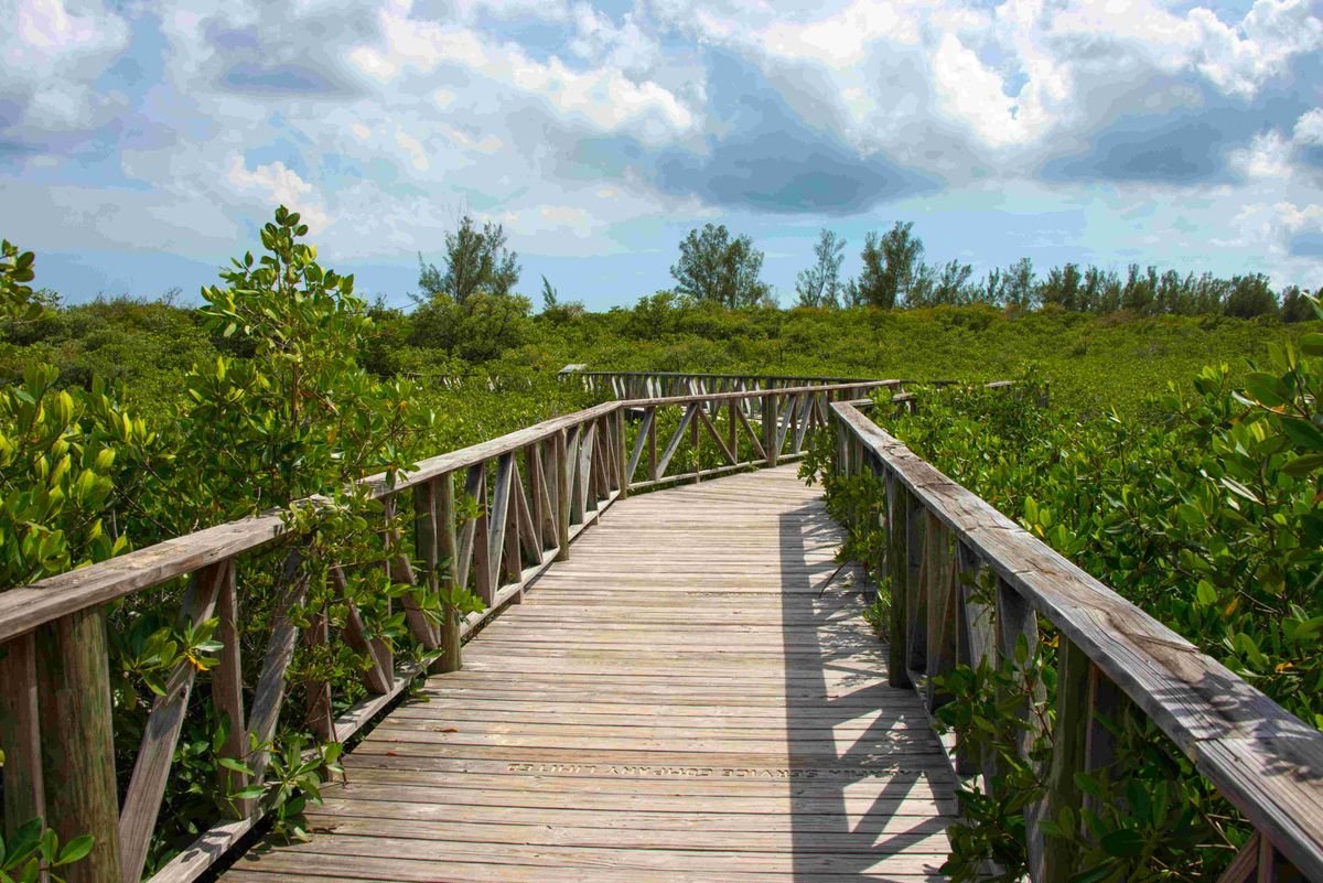 Lucayan