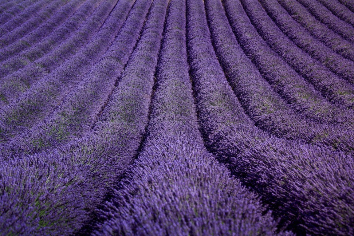 Malá Provence