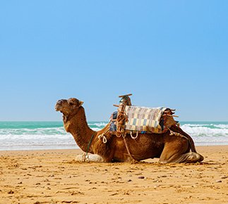 Marsa Alam