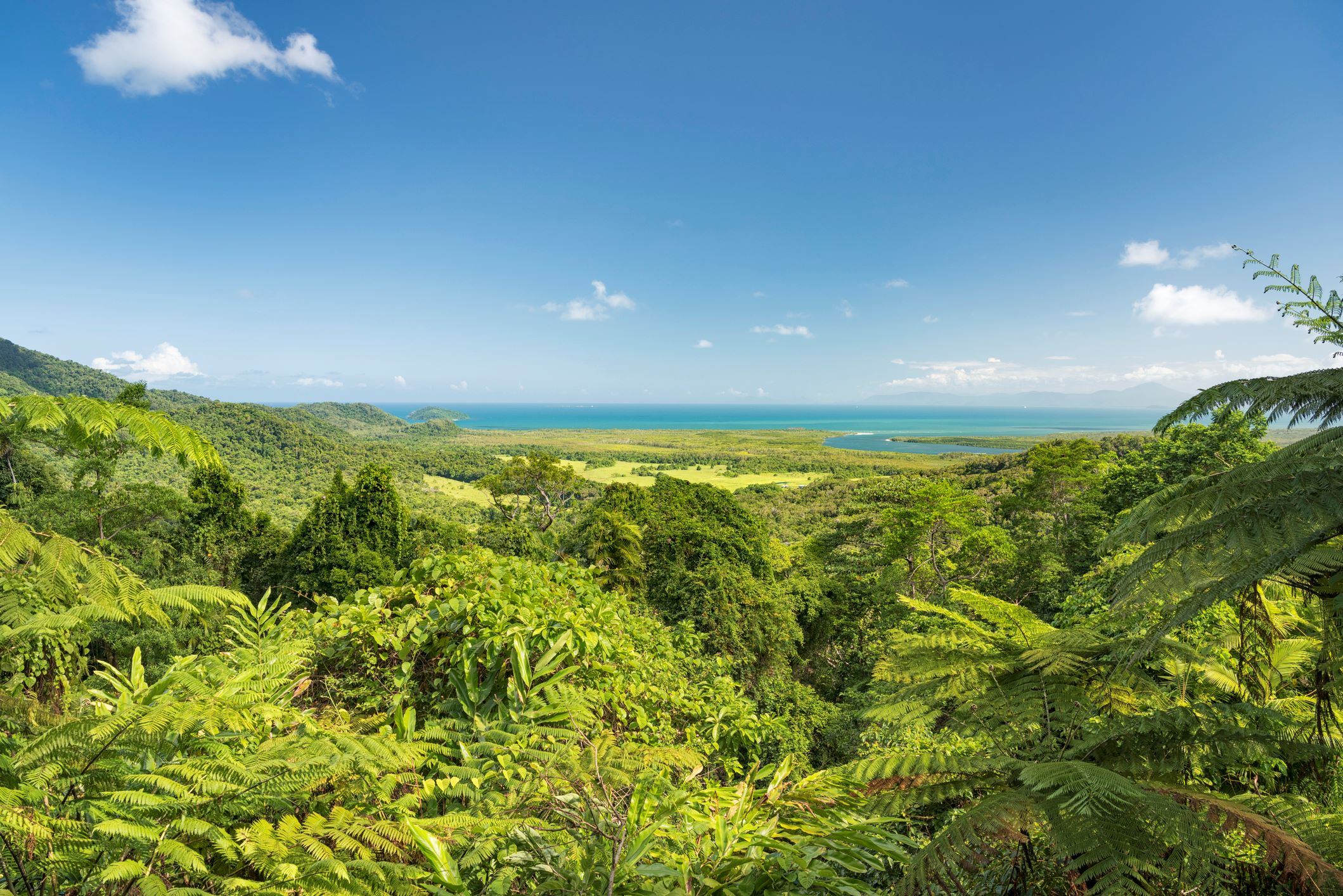 Národní park Daintree