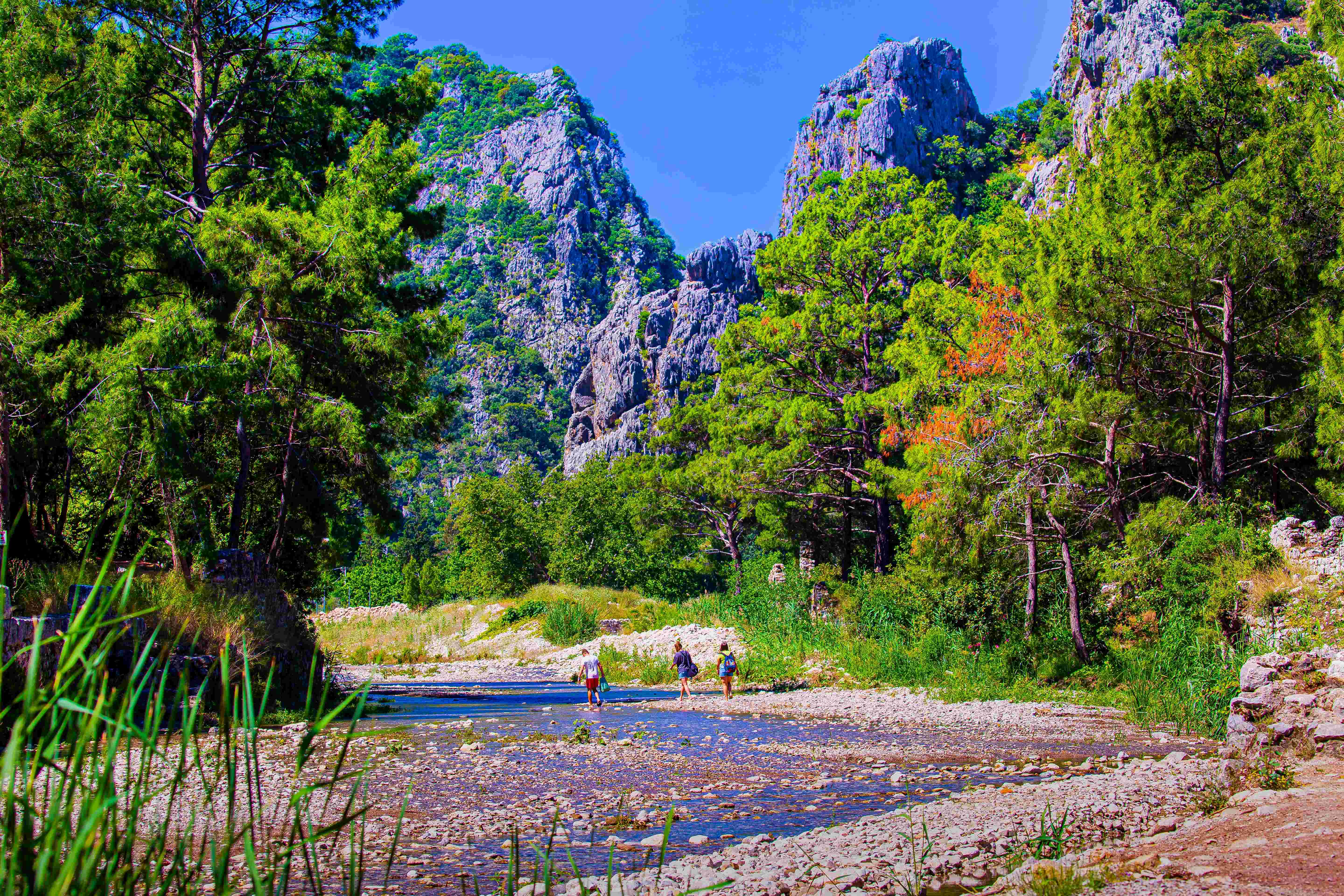 Národní park 