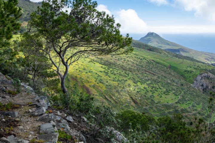 Pico do Castelo