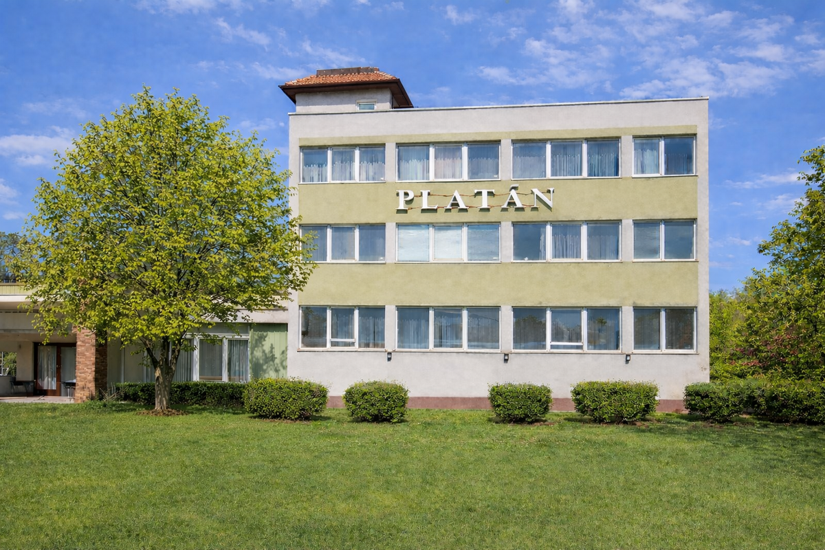 Hotel Platán 3*