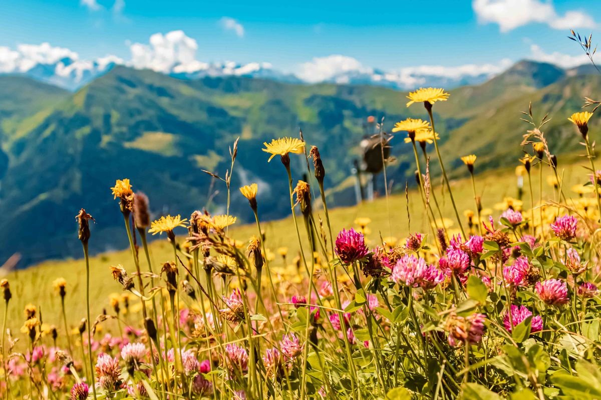 Saalbach - Hinterglamm - Leogang - Fieberbrunn
