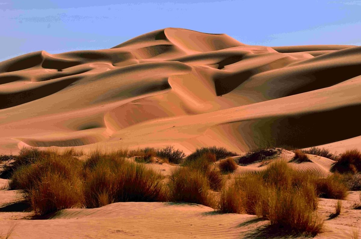 Sahara