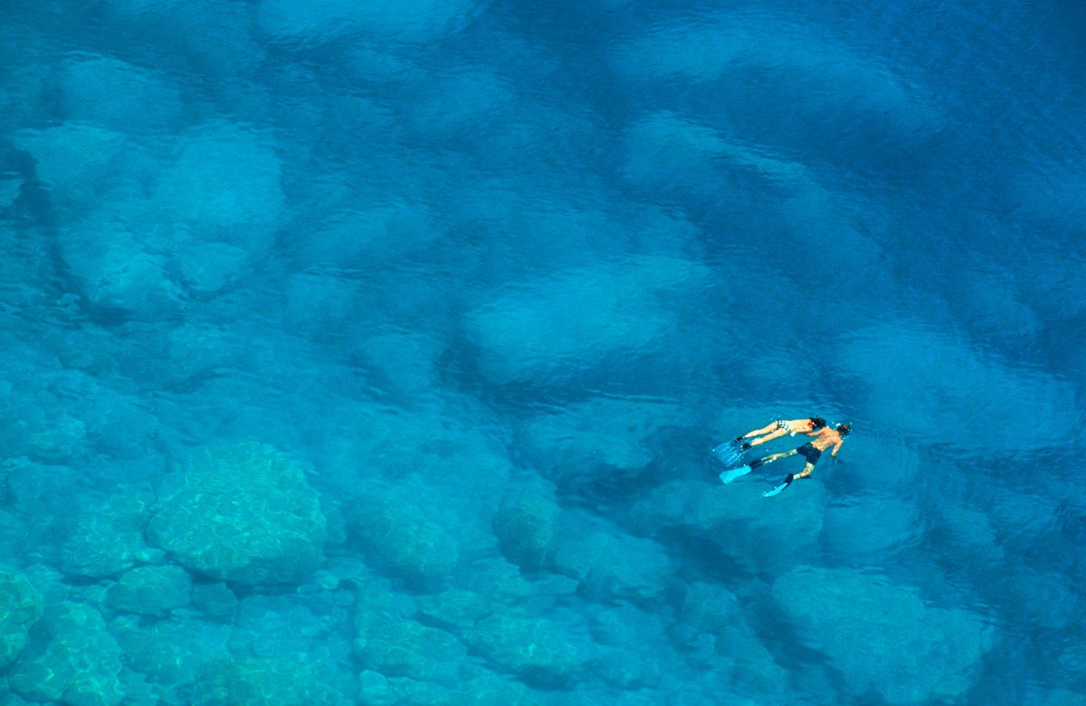 Šnorchlování podél korálového útesu a pozorování velryb
