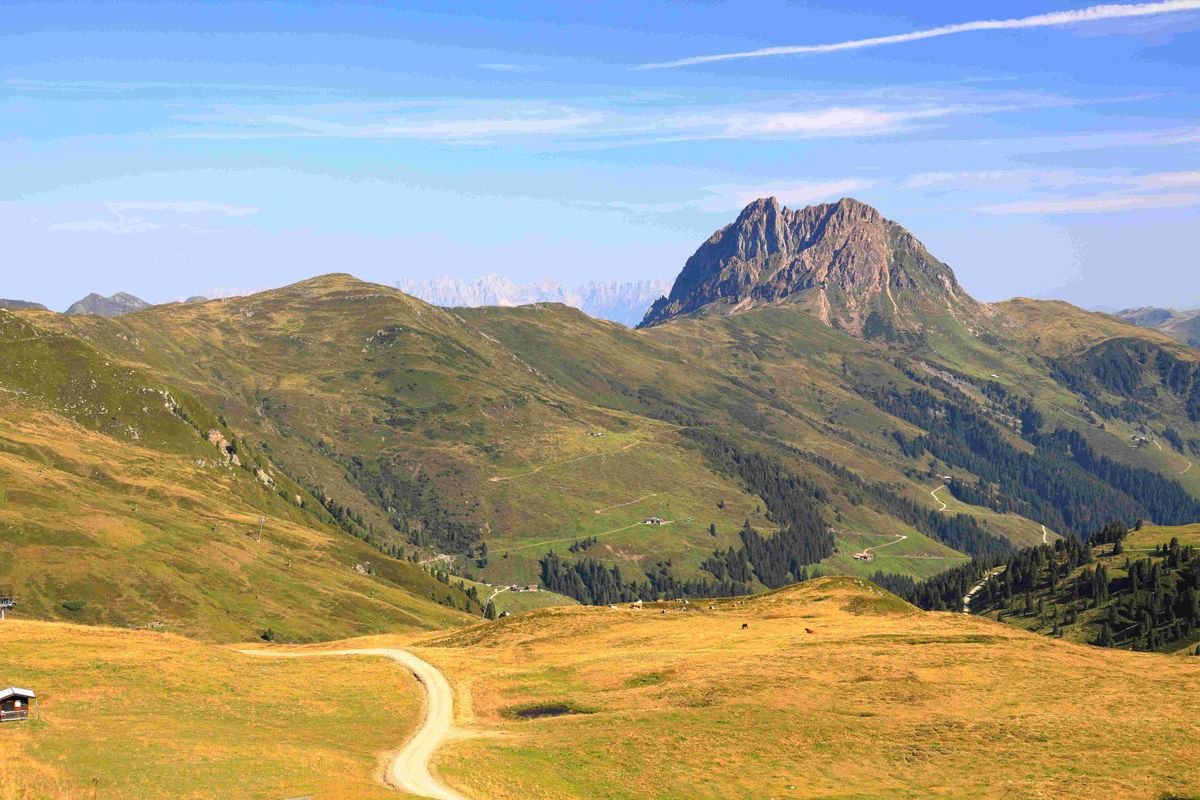Wildkogel