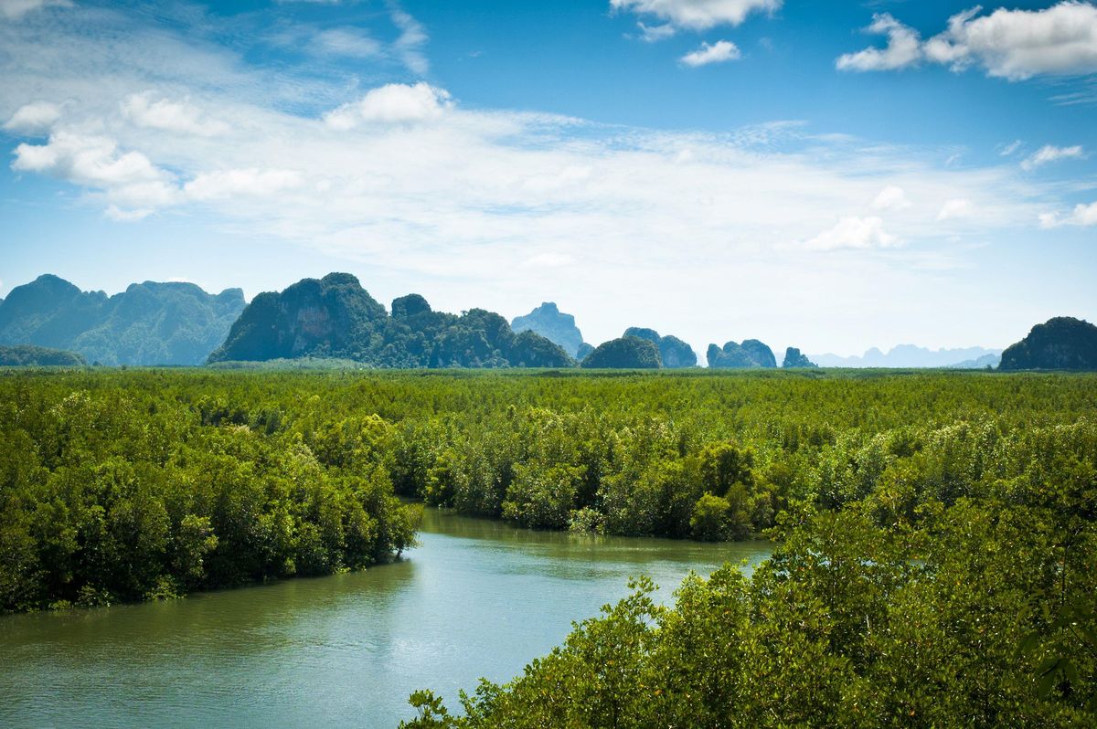 Zátoka Phang Nga