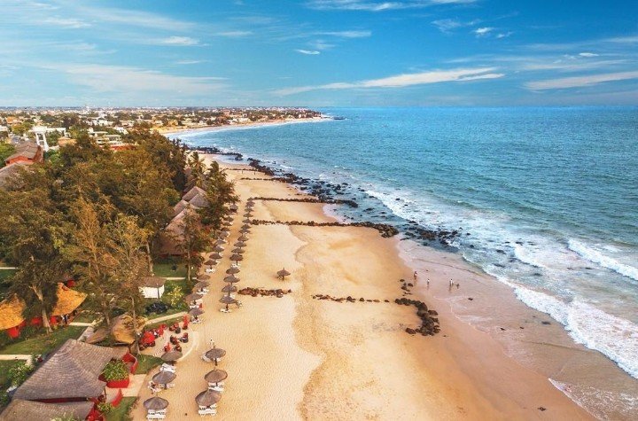 Royal Horizons Baobab