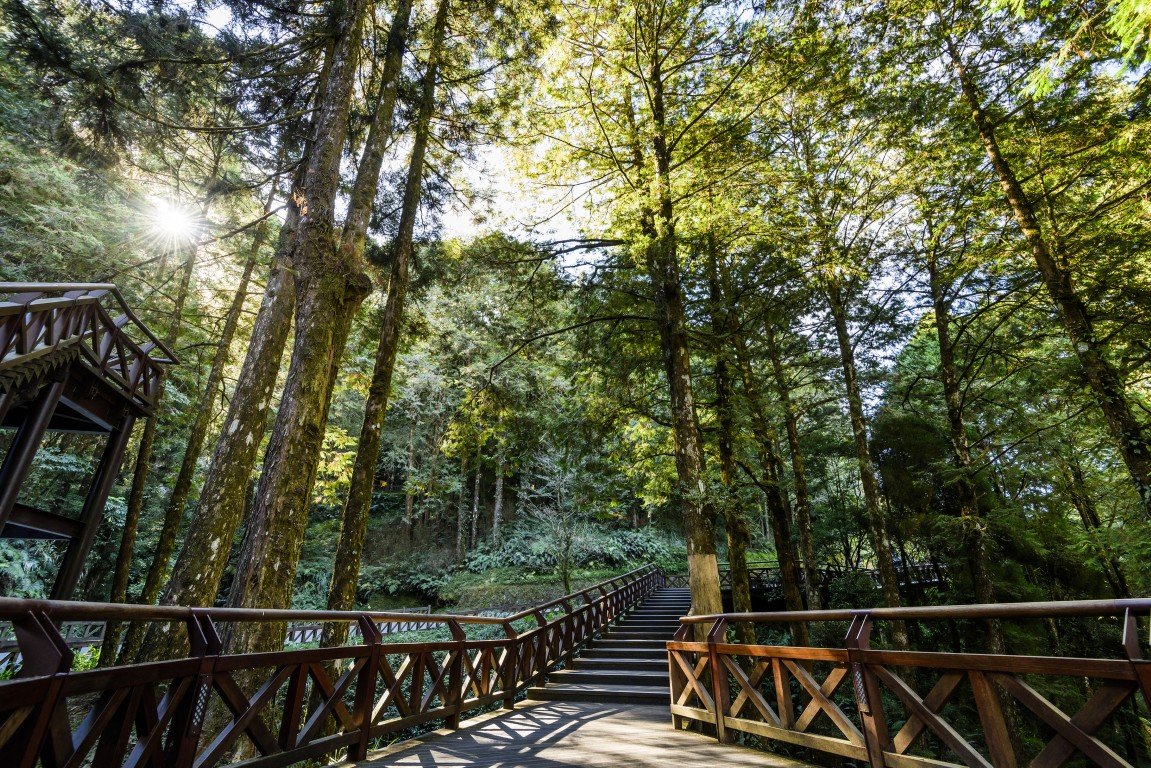 Alishan