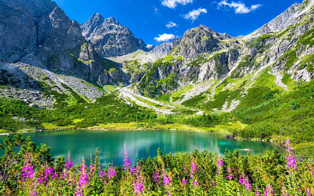 Vysoké Tatry vlakom – Tatranská Lomnica