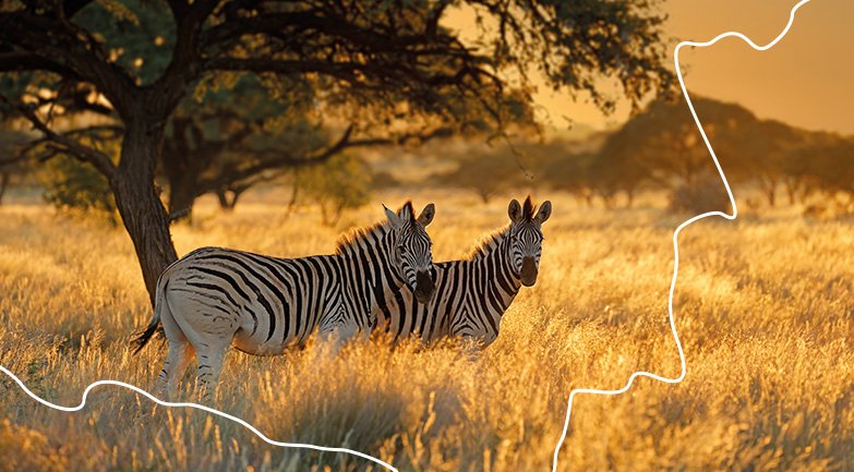 Čas objavovať čaro adventu