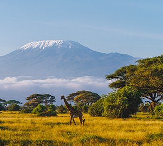 Zažite divokú Keňu