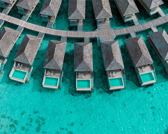 Maldivy