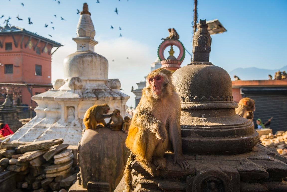 Kráľovské mestá Nepálu v tieni Himalájí