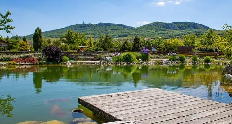 Amenity Penzion Horní Věstonice