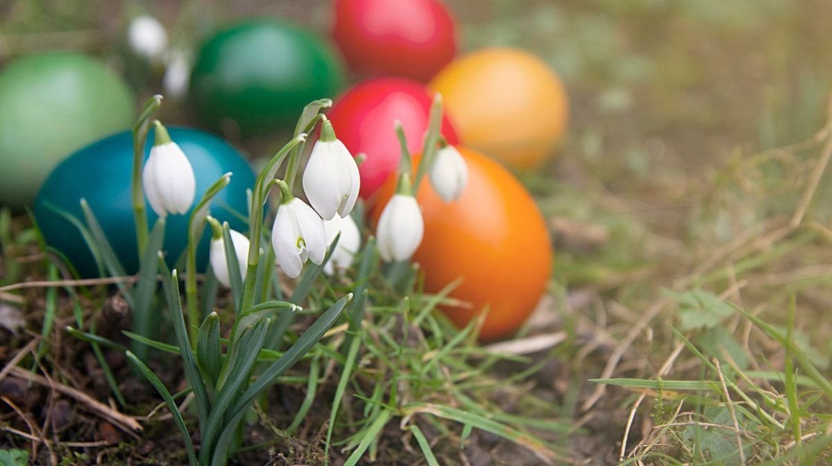 Velikonoční pobyt v Janských Lázních v hotelu Terra