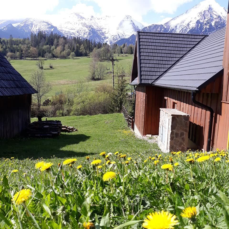 Mountain Resort River