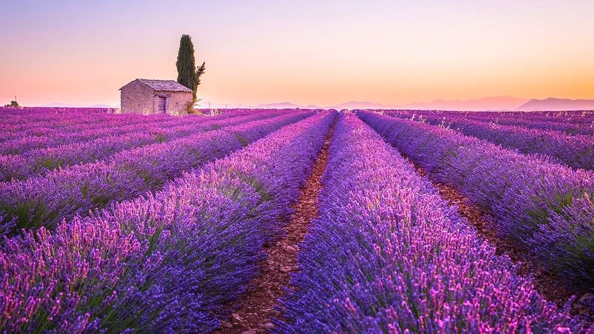 Värviline Provence