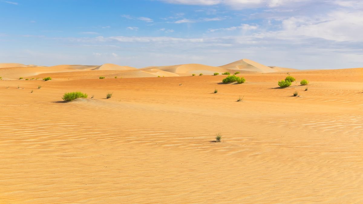 Rub Al-Khali kõrb