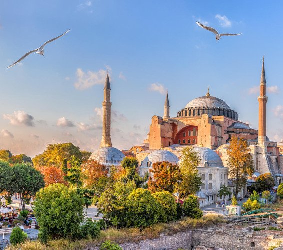 Türgi