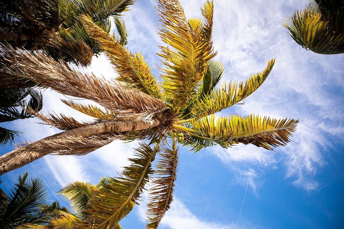 florida