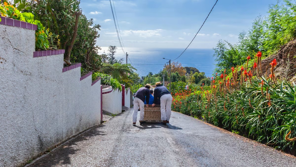 Szánkó Madeira