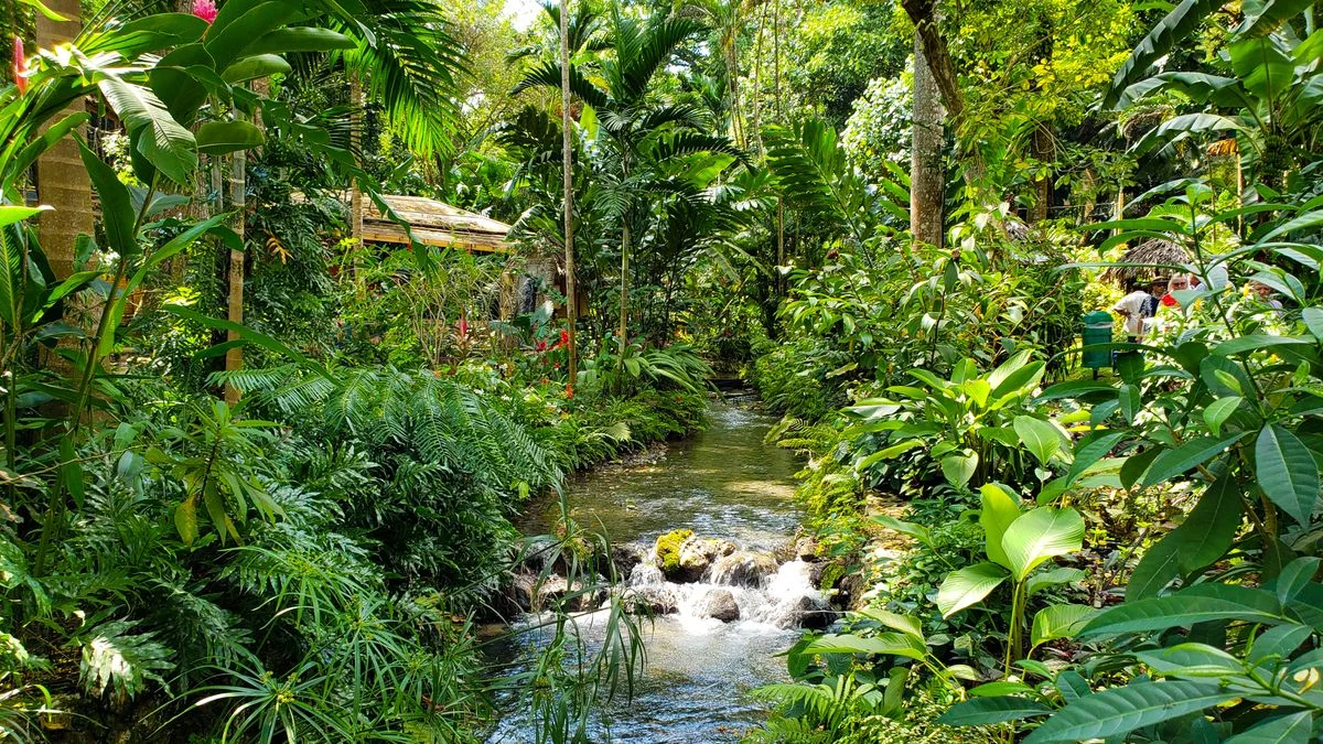 Jamaica