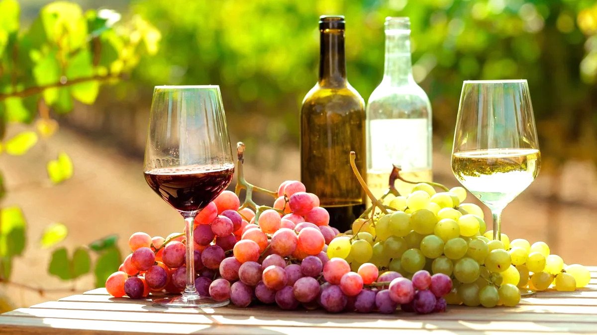  Vynas ir brendis Kadiso provincijoje