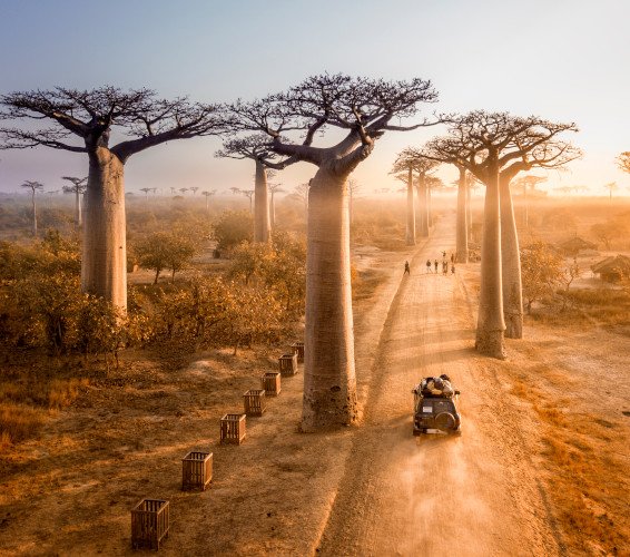 Madagaskara