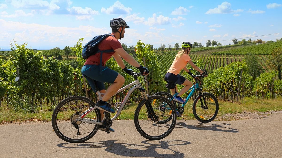 Krótka wyprawa rowerowa: winnym szlakiem w Burgundii
