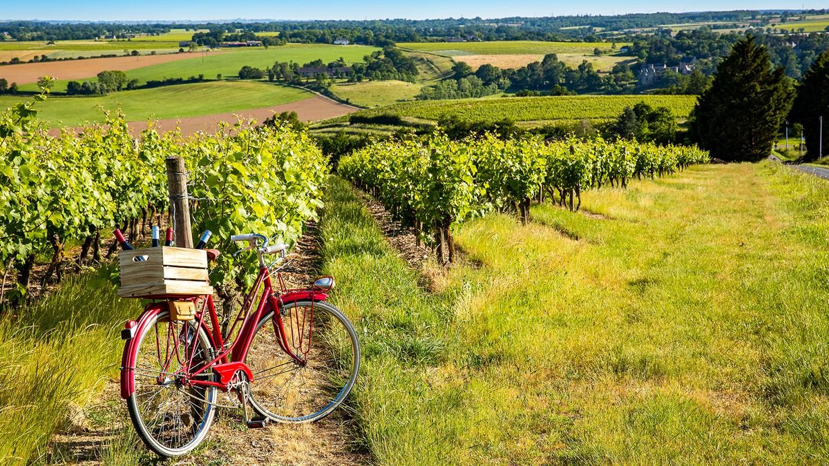 Wyprawa rowerowa: winnym szlakiem w Burgundii