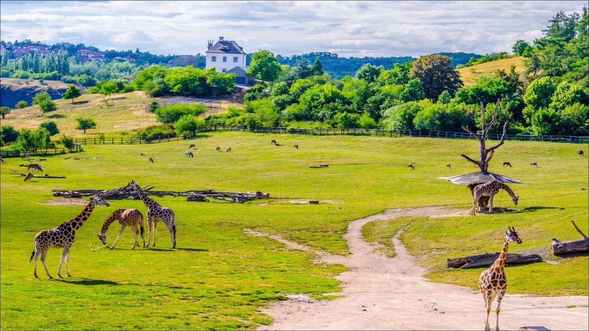 Praskie Zoo