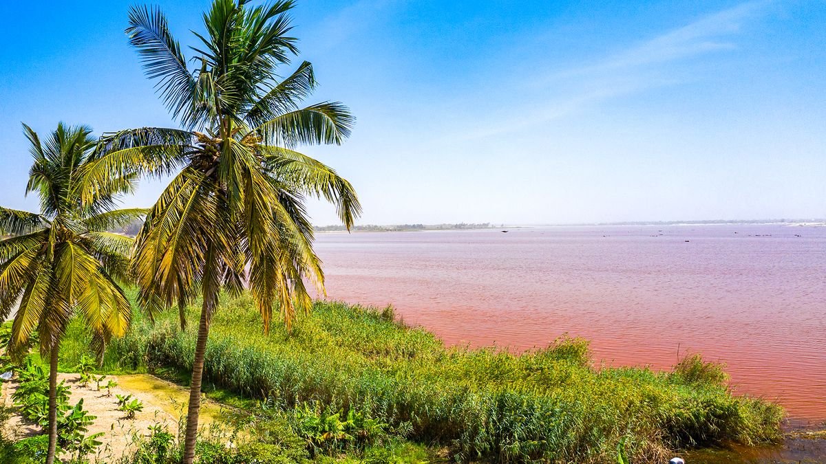 Barwy Senegalu – od oceanu po sawannę