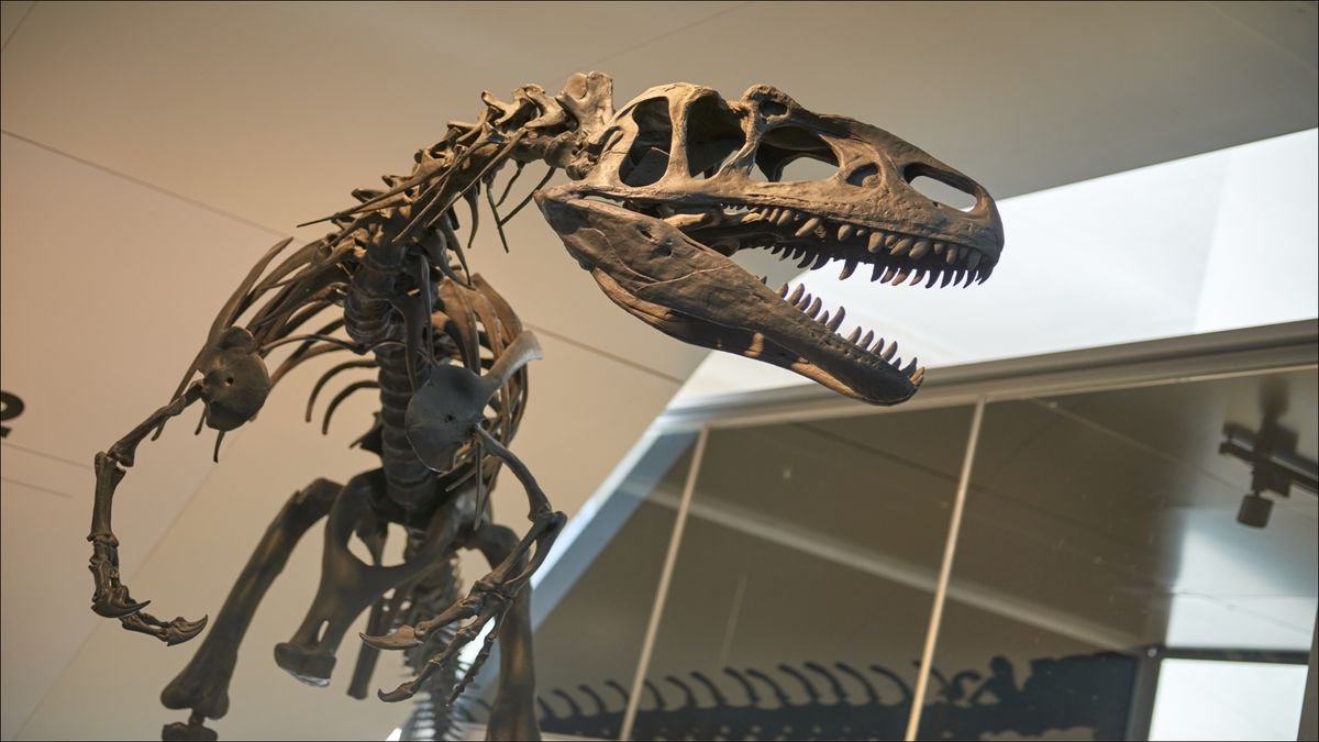 Narodowe Muzeum Historii Naturalnej w Paryżu