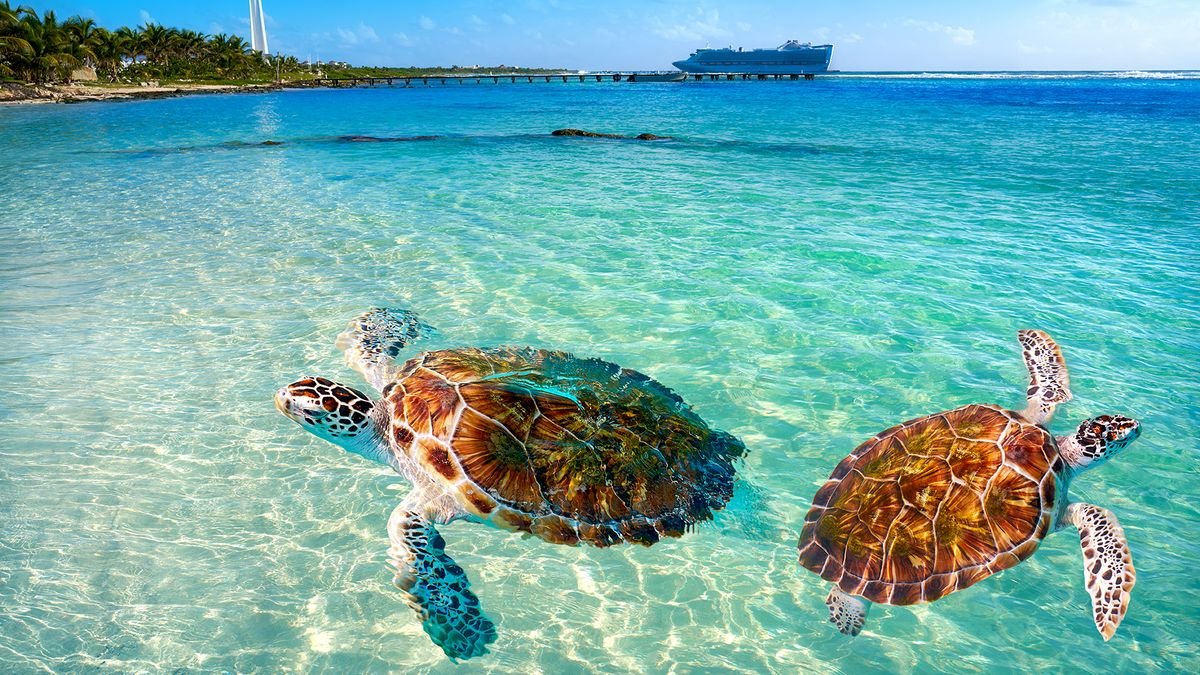 Rejs Meksyk, Honduras z Teksasu - MSC Seascape