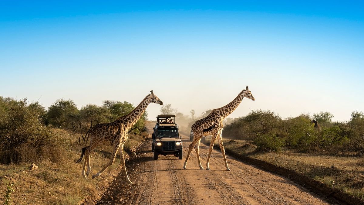 Tanzanie: velké safari a Zanzibar