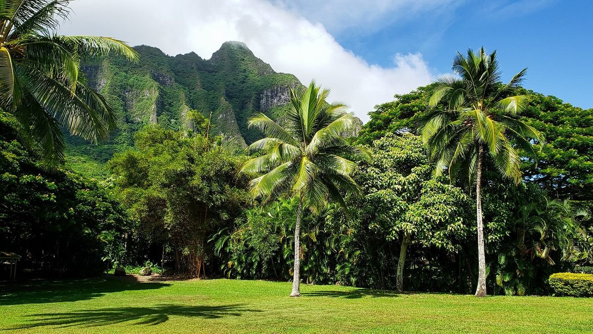 Aloha Hawaii 2