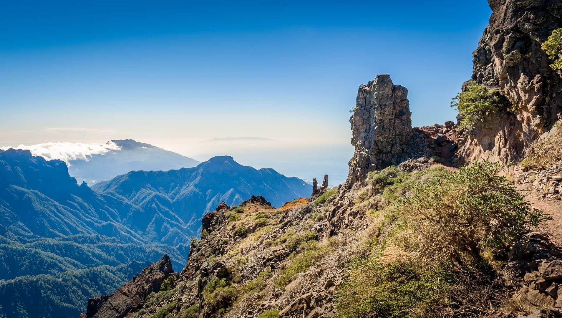 La Palma z Katowic