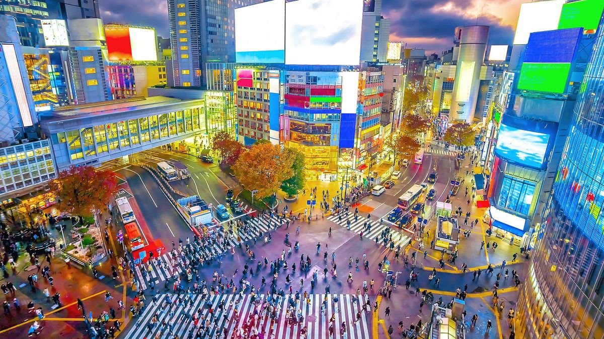 Rejs Tokio Szanghaj, rejsowanie i zwiedzanie - MSC Bellissima