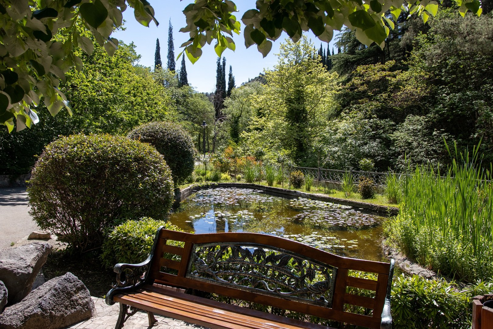 Ogród botaniczny w Tbilisi
