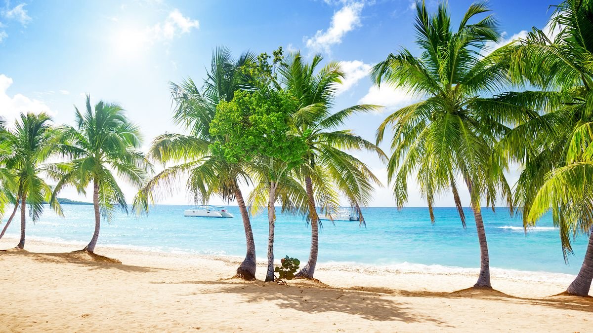 Rejs Dominikana, Barbados, Martynika, Antigua i Wyspy Dziewicze z La Romana - MSC OPERA